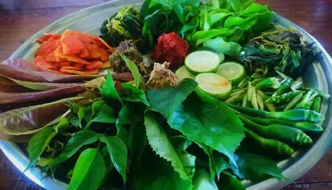 တို့စားမျိုးစုံ