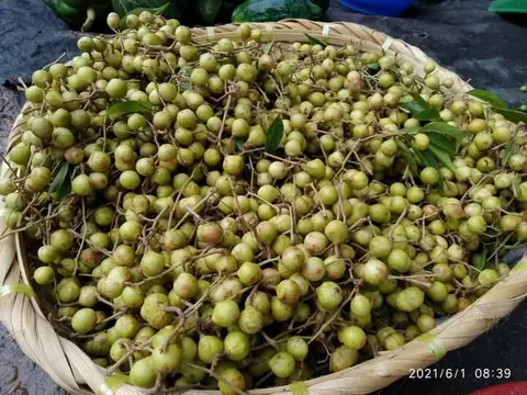 သဒွီသီး