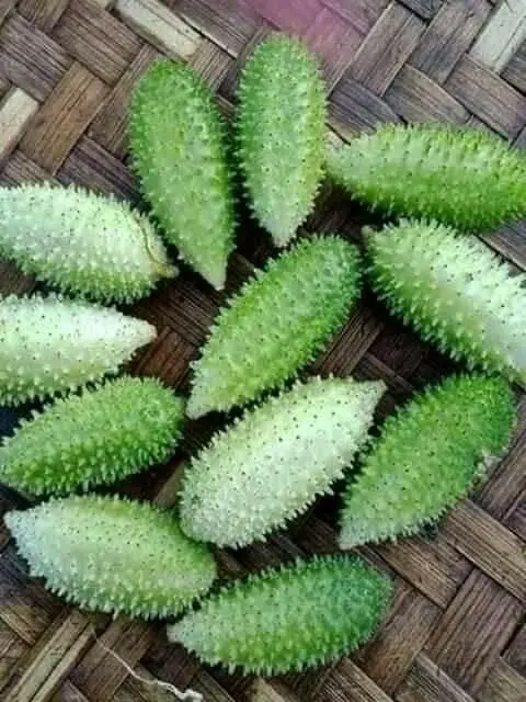 ဇင့်ဂြန်းသီး