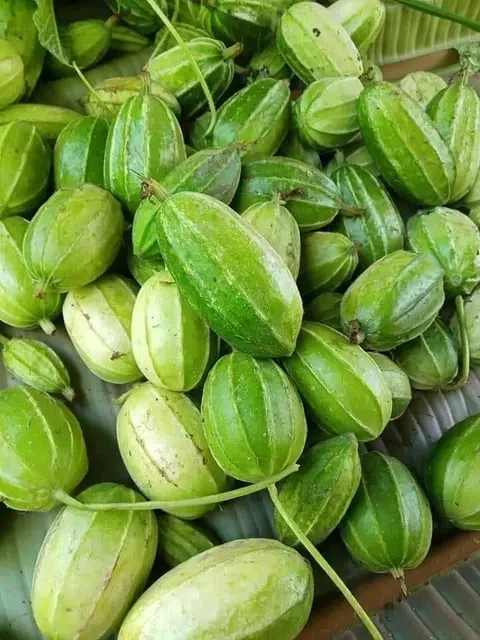 နွယ်ချိုသီး