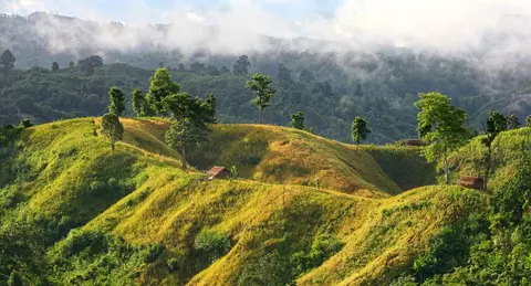 ယာစပါးရိတ်ချိန် တိုင်ပါဗျာ